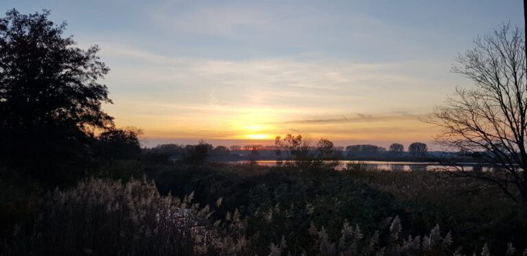 Besuche erleben, ohne jeden Moment zu dokumentieren