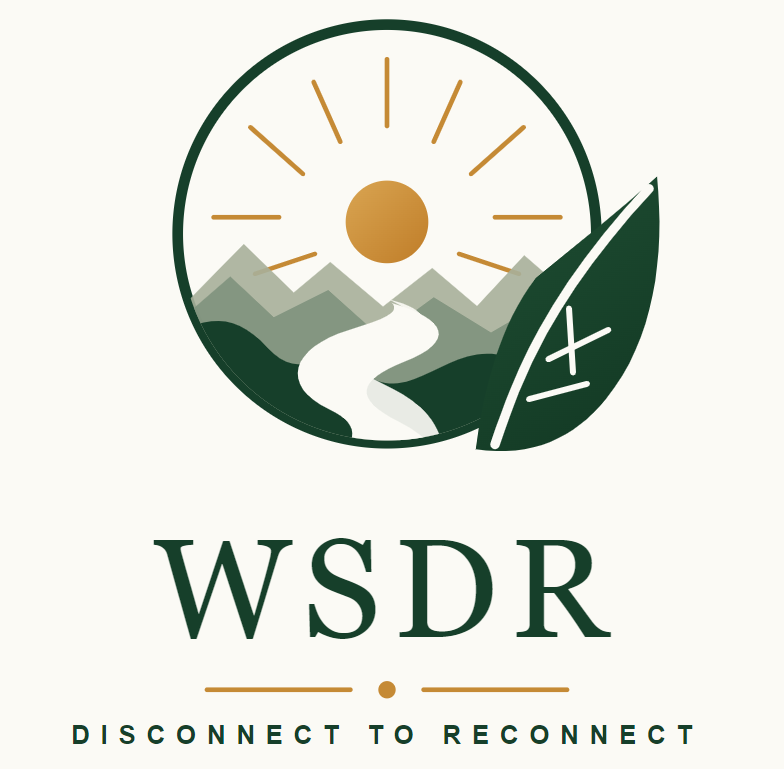 World Slow Down Reconnect