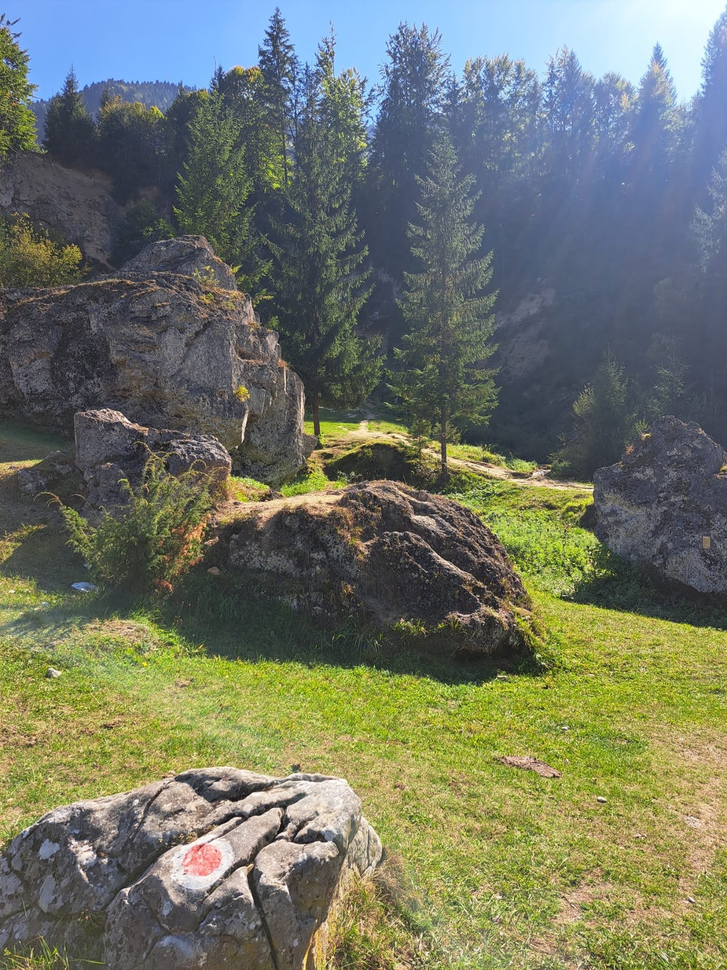 Naturmoment aus dem WSDR-Archiv