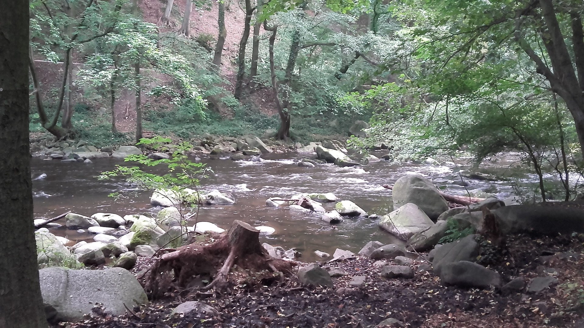 Naturmoment aus dem WSDR-Archiv